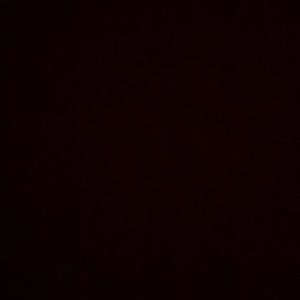 Meet your Posher, Racquel